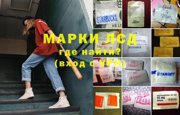 крисы Богородск