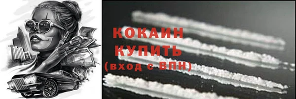 винт Богданович