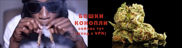крисы Богородск