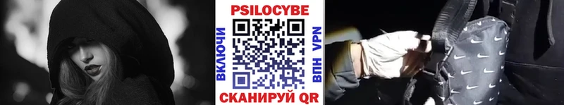 Псилоцибиновые грибы Psilocybe  как найти   Энгельс 